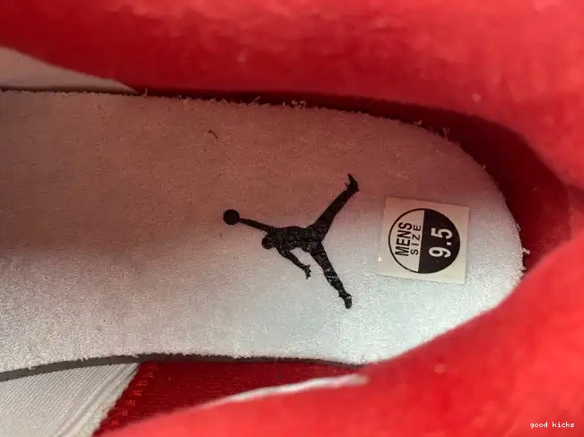 Rep 308497-106 Air Jordan 89 4 Retro Alternate 0523